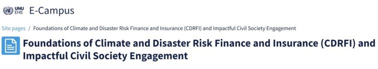 Foundations of Climate and Disaster Risk Finance and Insurance (CDRFI) and Impactful Civil Society Engagement