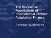 The Normative Foundations of International Climate Adaptation Finance