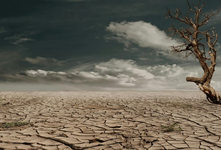 Handle with care: Challenges in company-level emissions data for assessing financial risks from climate change