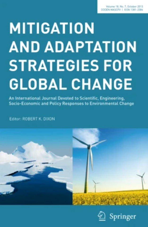 Development based climate change adaptation and mitigation—conceptual issues and lessons learned in studies in developing countries