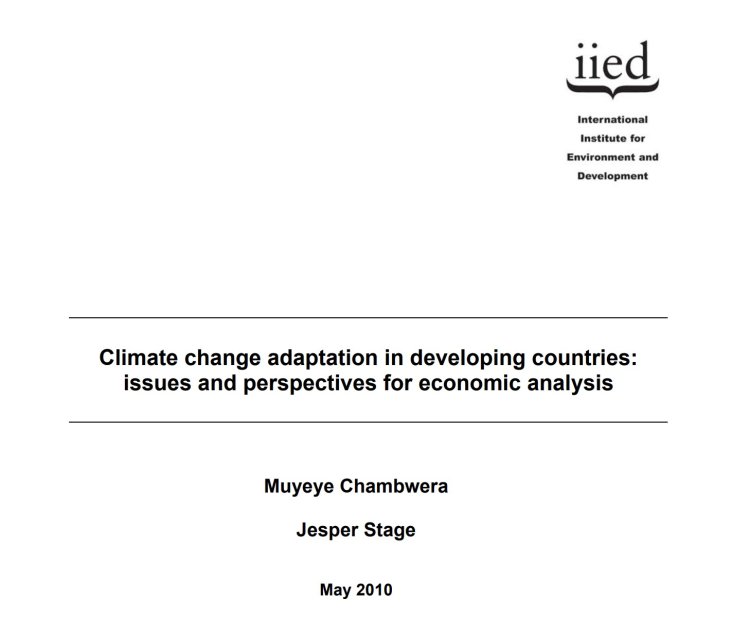 Climate change adaptation in developing countries: issues and perspectives for economic analysis