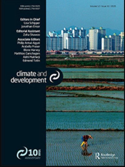 Climate change adaptation costs in developing countries: insights from existing estimates