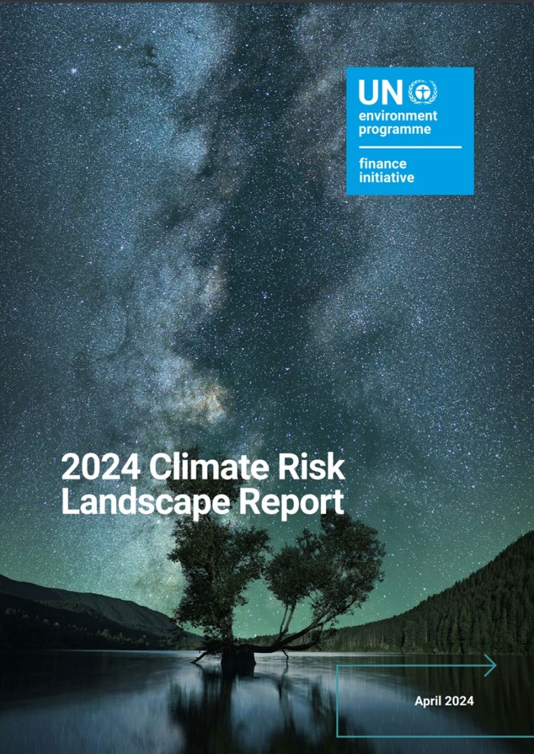 Climate Risk Landscape Report 2024